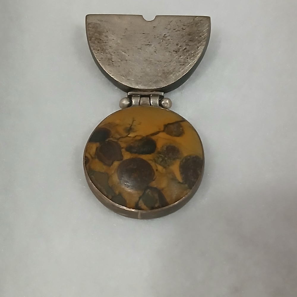 Elegant Silver and Brown Brooch